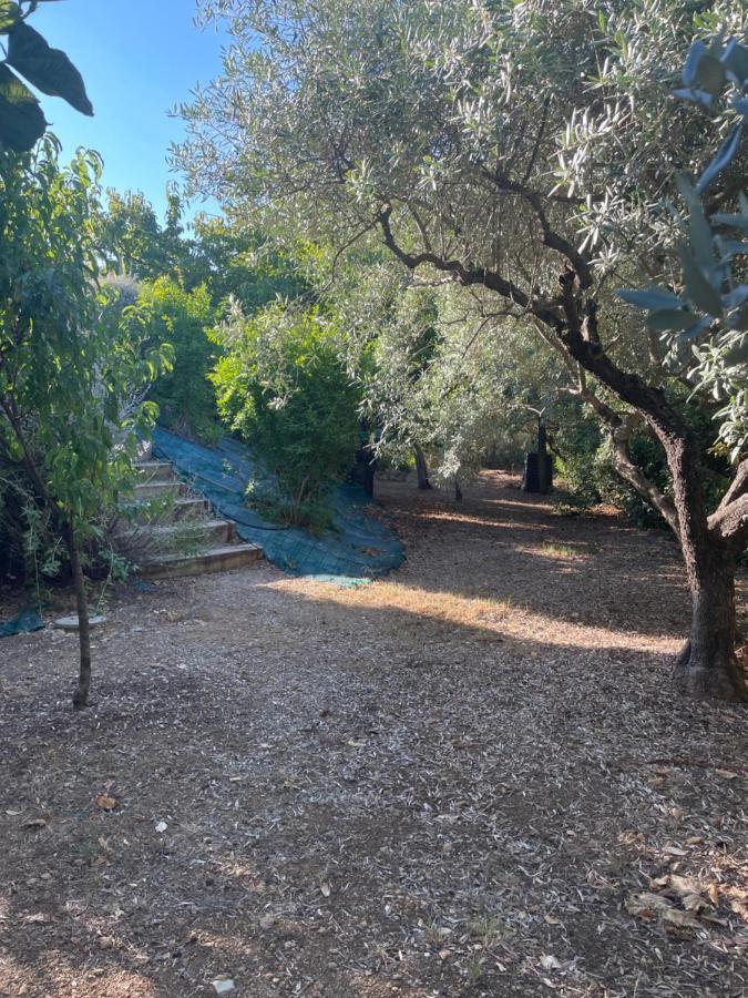 Villa 180 m2 piscine Draguignan Esterno foto